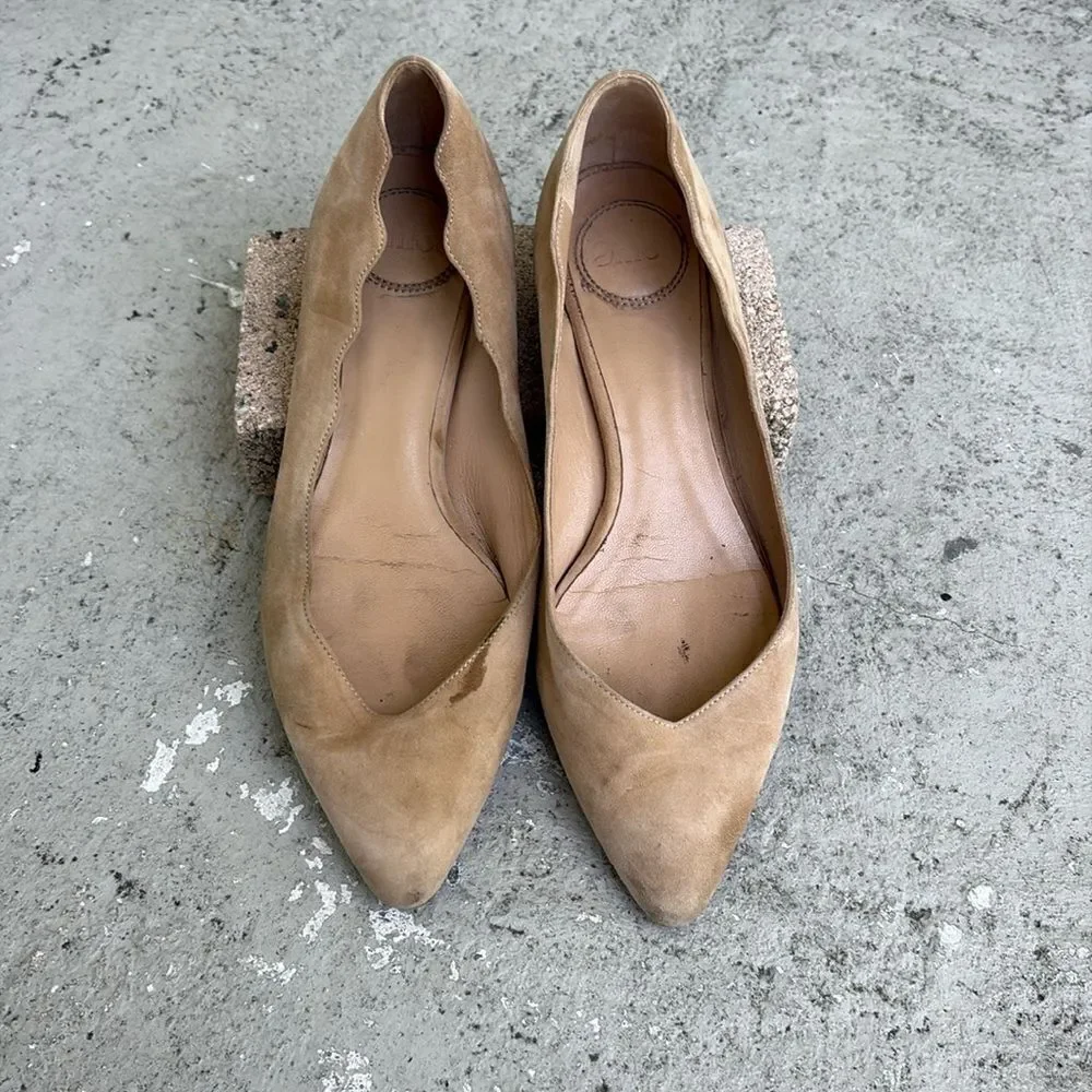 Chloe scallop flats